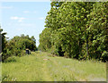 Dismantled railway, Nethercote