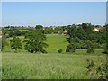 View towards Eastry from footpath