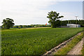 Durley Airstrip, Hill Farm