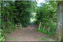 SU5115 : Footpath cutting through Blundell's Copse by Peter Facey