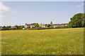 Buttercup meadow at Boorley Green