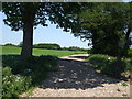 Farm Track near Love Lane