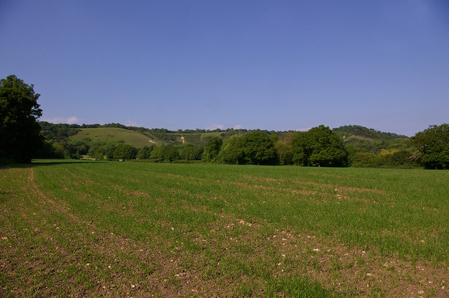 Towards Colley Hill