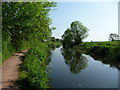 Mid Devon : Grand Western Canal