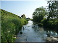 Mid Devon : Grand Western Canal