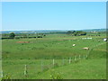 Farmland near Staxton