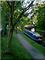 Evening shade on the canal at Audlem, Cheshire