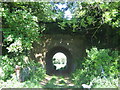 Footpath under the railway