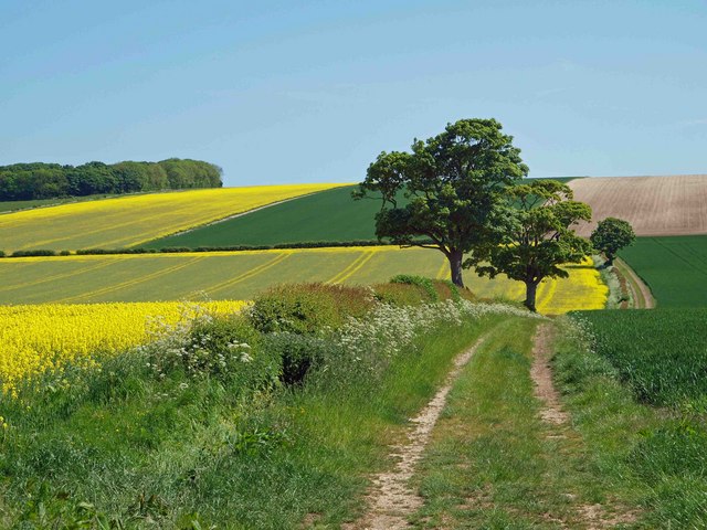 Farm track on the Yorkshire Wolds near... © Steve Fareham cc-by-sa/2.0 ...