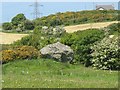 Maen y Goges - a glacial erratic