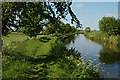 A quiet moment beside the canal