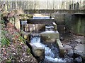 Fish ladder on Lothrie Burn as it enters the River Leven