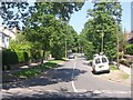 Sycamore Avenue - Harehills Lane