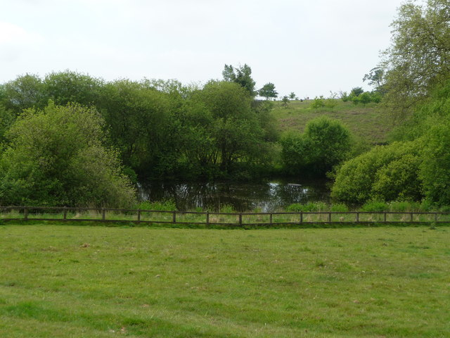Stewards Pond