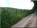 Footpath, Folds Farm