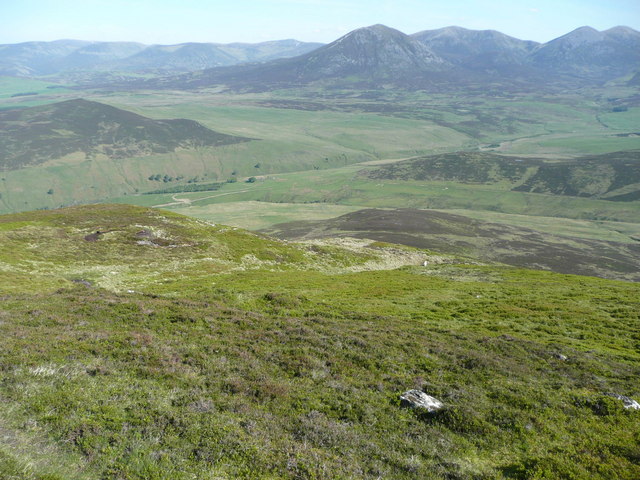 Northern slopes of Meall an Daimh