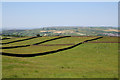 Fields, Steeton Moor