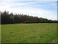 Field, Muckernich