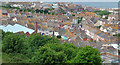 Roofs of Fortuneswell