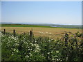 Harvested hay meadow near Pen Padrig