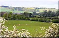 Looking across a field to Fenny Compton