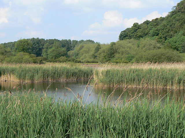 Holme Pit © Alan Murray-Rust cc-by-sa/2.0 :: Geograph Britain and Ireland