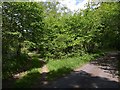 Bridleway leaving lane near Bovey Castle