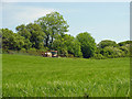 Spraying barley: Berllan, Eglwyswrw