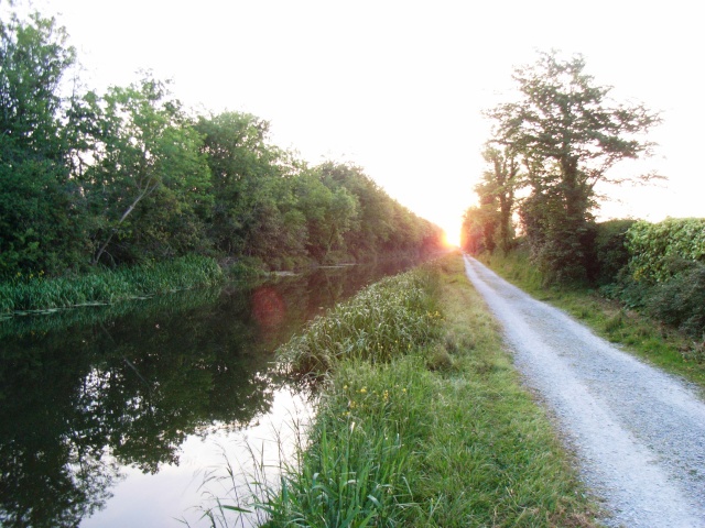 Grand Canal at Kearneystown Upper, Co. Kildare