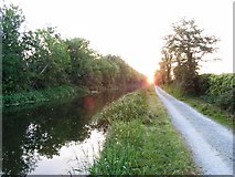 N9629 : Grand Canal at Kearneystown Upper, Co. Kildare by JP