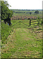 Footpath to Bury Court