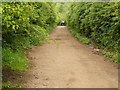 Track to Tunnel under Bunny Old Wood