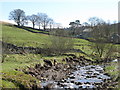 The River East Allen below Peasmeadows