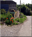 Hendre Cymru Farm & Nurseries