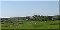 View across sheep grazing land towards farms on the Llanfechell-Mynydd Mechell road