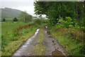 Track between Low & High Eskholme