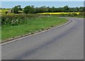 Country road north of Great Dalby