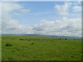 Rushyhill from Westerhill Road