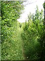 Footpath to Sompting