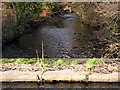 Aqueduct over the river Clydach at Neath Abbey