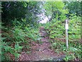 Footpath, Rival Lodge