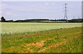 Field north of Thame Lane