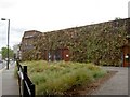 Green living wall on Paradise Park Children