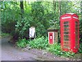 Village communications, Terwick Common