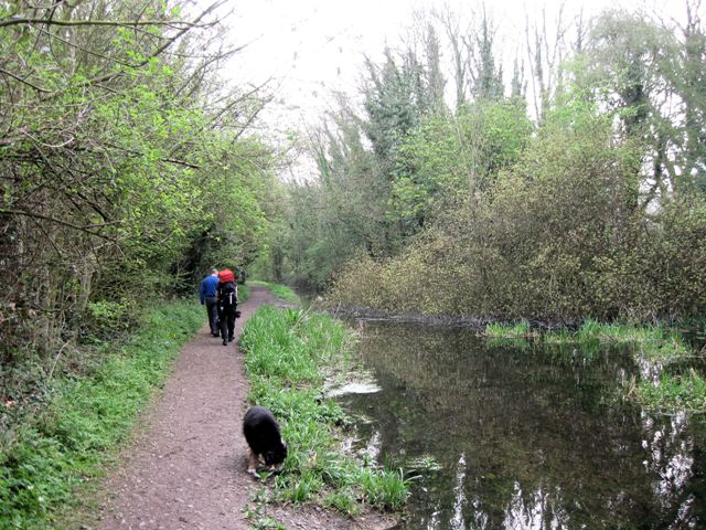 Wendover Arm: The Towpath: A much used public footpath