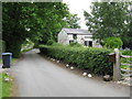 Lymm - Derelict Farm Buildings On Pool Lane