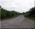 SN5536 : Track leads into forest on Banc farm road. by John Duckfield