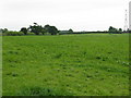 SJ7386 : Fields Near Little Bollington by Peter Whatley
