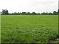 Grassland Off Bradshaw Lane