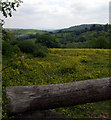 Fields above Nant Moelen